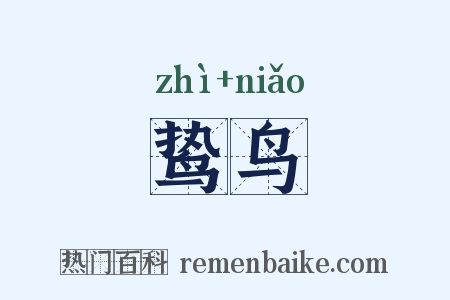 鸷鸟是什么意思的图片